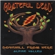 Grateful Dead - Downhill From Here - Alpine Valley